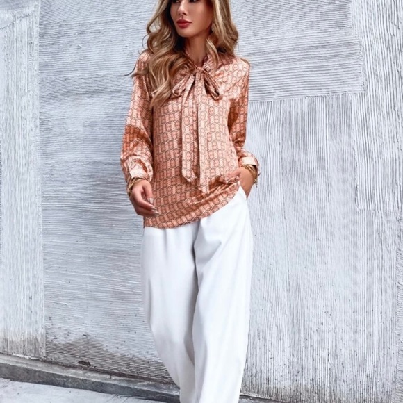 Office Style Neck Tie Blouse - Picture 5 of 7